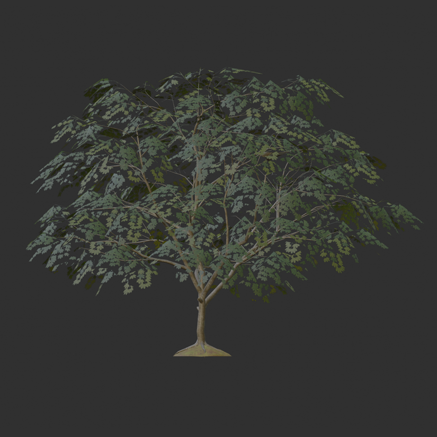 The tree mesh and the image maps combined to create a single tree