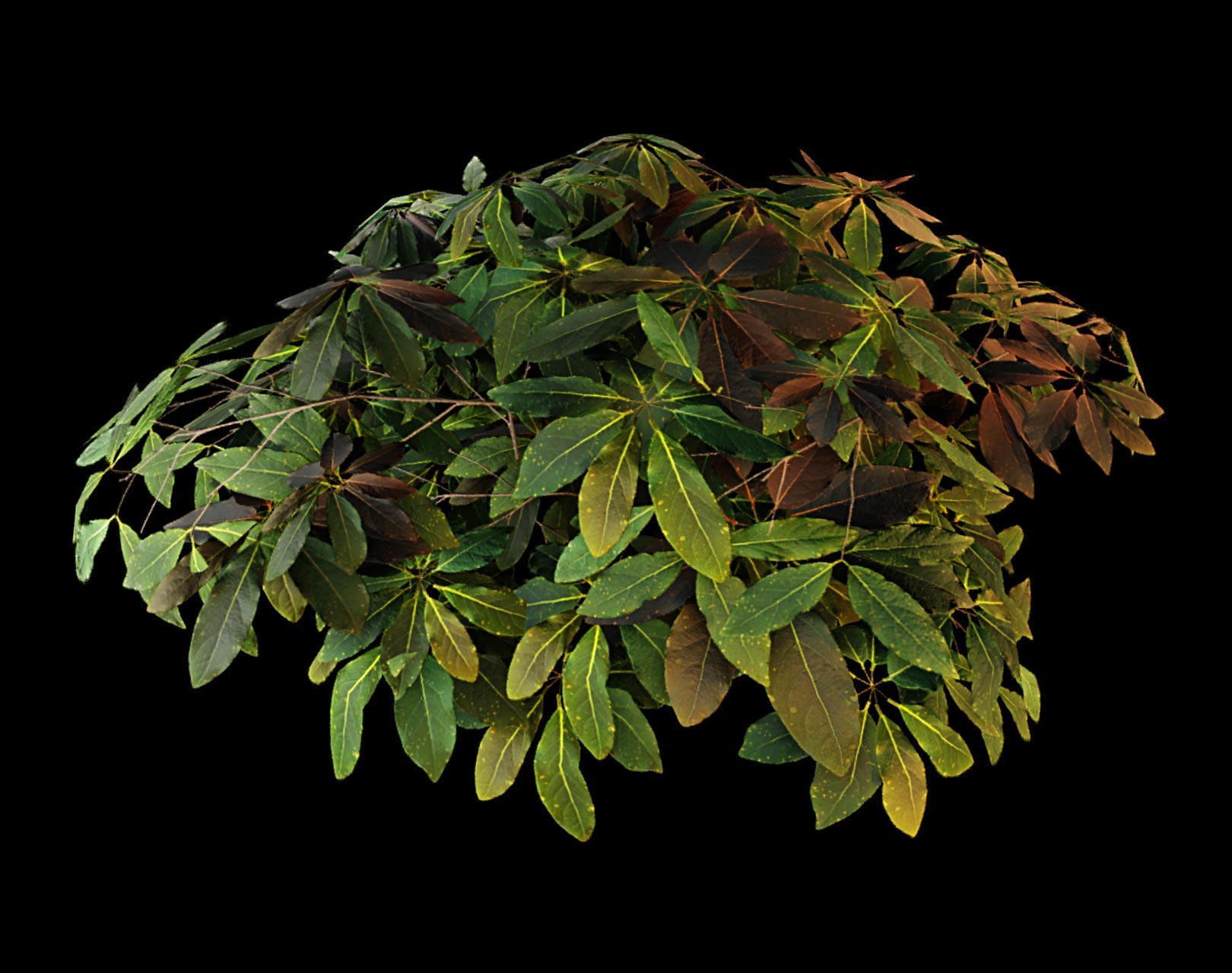 A realistic looking leafy bush with shadows and depth.