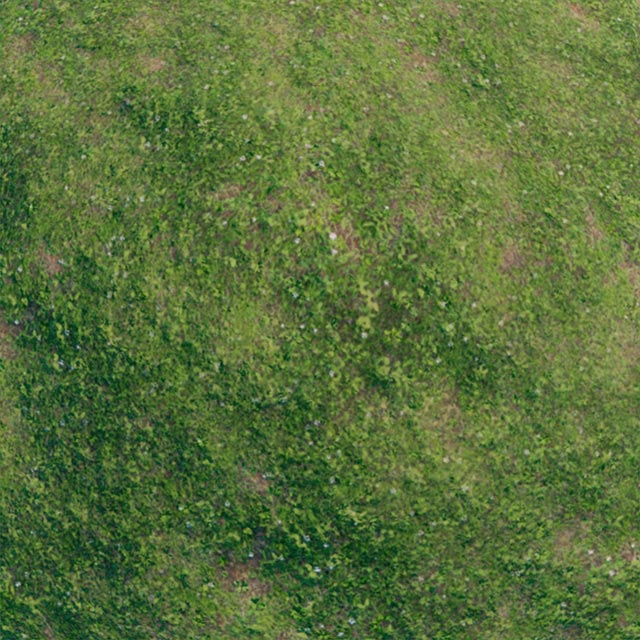 Roblox Grass Texture Image ID