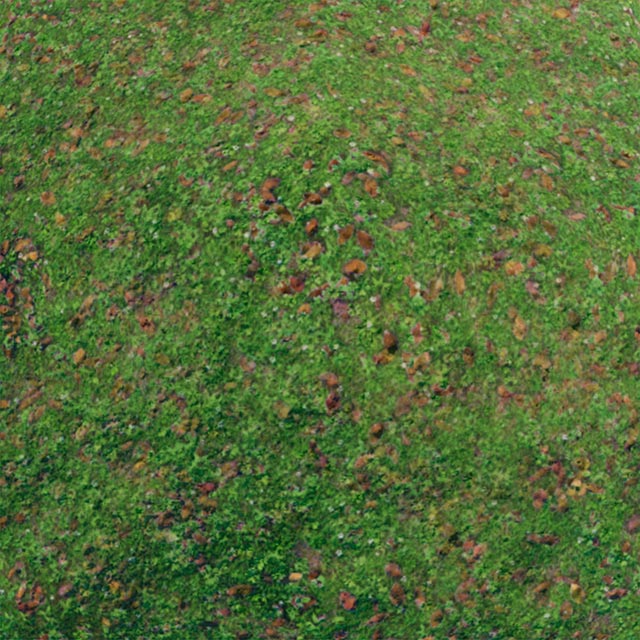 Appearance of Leafy Grass material