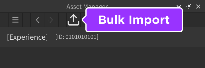 The Asset Manager window with the Bulk Import button highlighted.