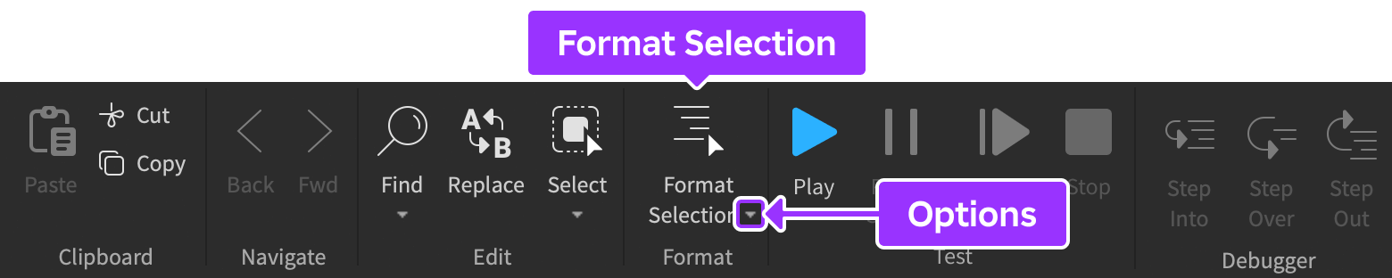 Opciones de formato en la pestaña Script