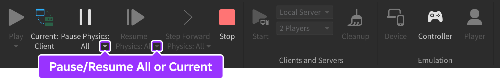 Selection arrows for Pause Physics and Resume Physics to toggle between All or Current pause/resume action between client and server physics.