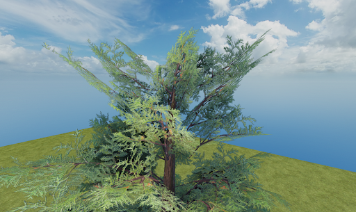 A tree with less leaves because all planar meshes facing away from the camera are disabled.