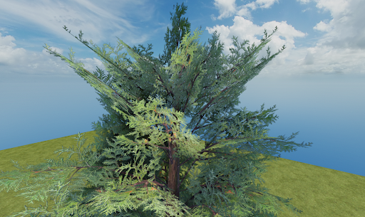 A tree with all planar meshes facing the camera.